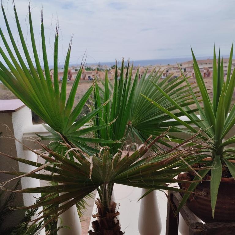 Casa Cariño - Apartamento de 1 dormitorio - 6