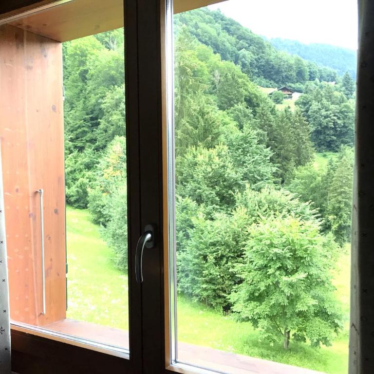 Mountain River Luxury Apartment - Apartment mit 2 Schlafzimmern - 32