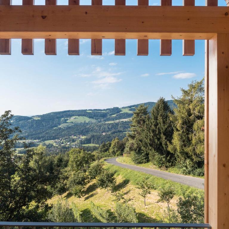 SCHILCHERLANDLEBEN - Hochgrail - Penthouse-Apartment - 5