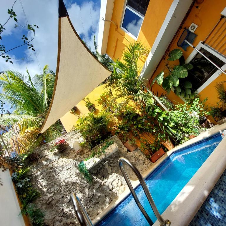 4 Habitación Cozumel - Estudio con terraza - 1