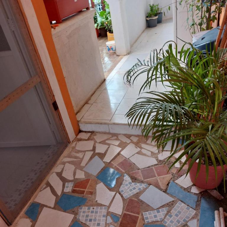 4 Habitación Cozumel - Estudio con terraza - 7