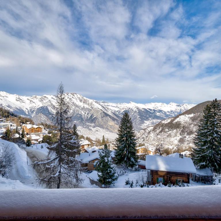 Chalet Alaska - Chalet - 49