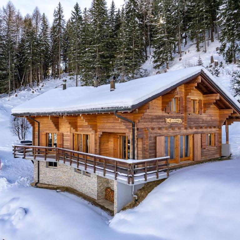 Chalet Alaska - Chalet - 1