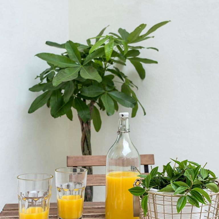 Stay U-nique Apartments Fira BCN II - Apartamento de 2 dormitorios - 33