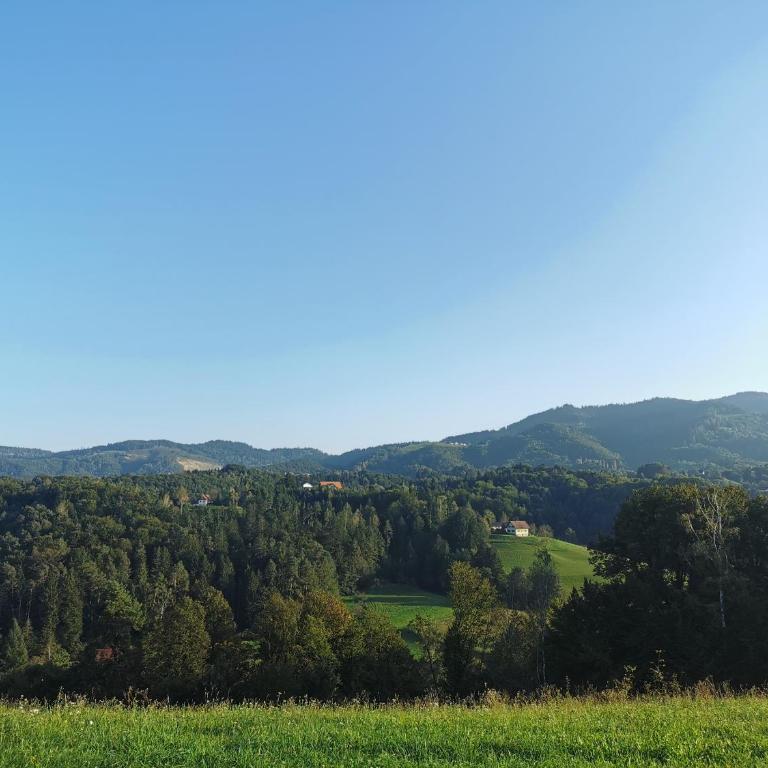 Stilvolles Ferienhaus Südsteiermark ruhige Lage top Aussicht & E-Ladestation - Haus mit 3 Schlafzimmern - 33