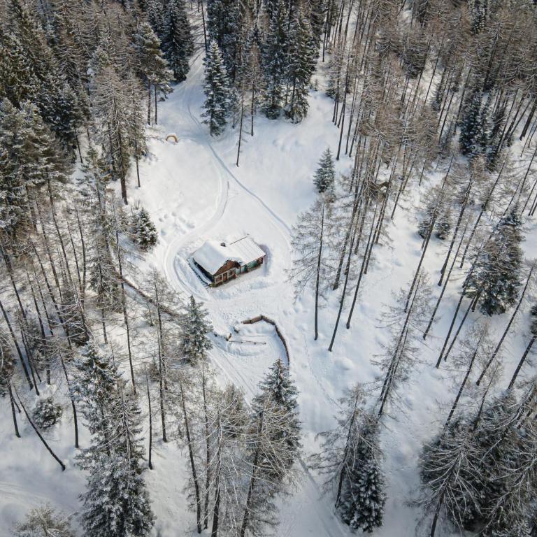 Cain Comfort Chalet - Chalet - 8