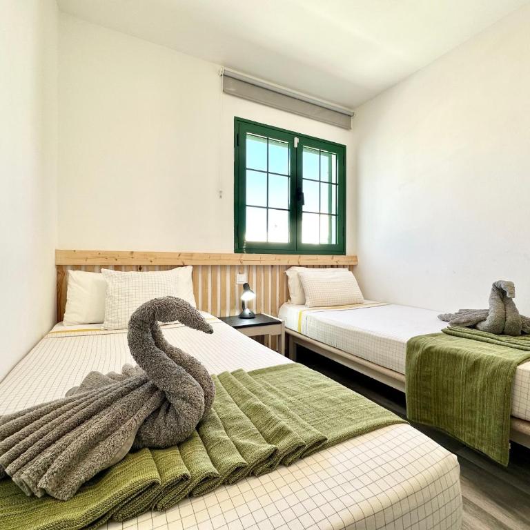 Kiwi Smoothie - En la playa, doble terraza, cocina completa, dos camas y Wifi - Apartment - 3