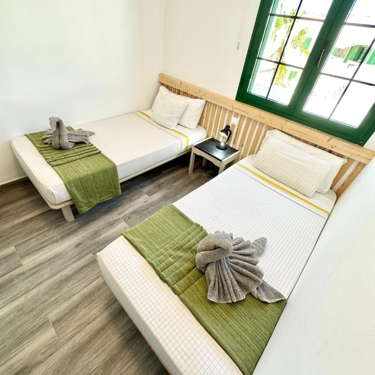 Kiwi Smoothie - En la playa, doble terraza, cocina completa, dos camas y Wifi - Apartment - 12
