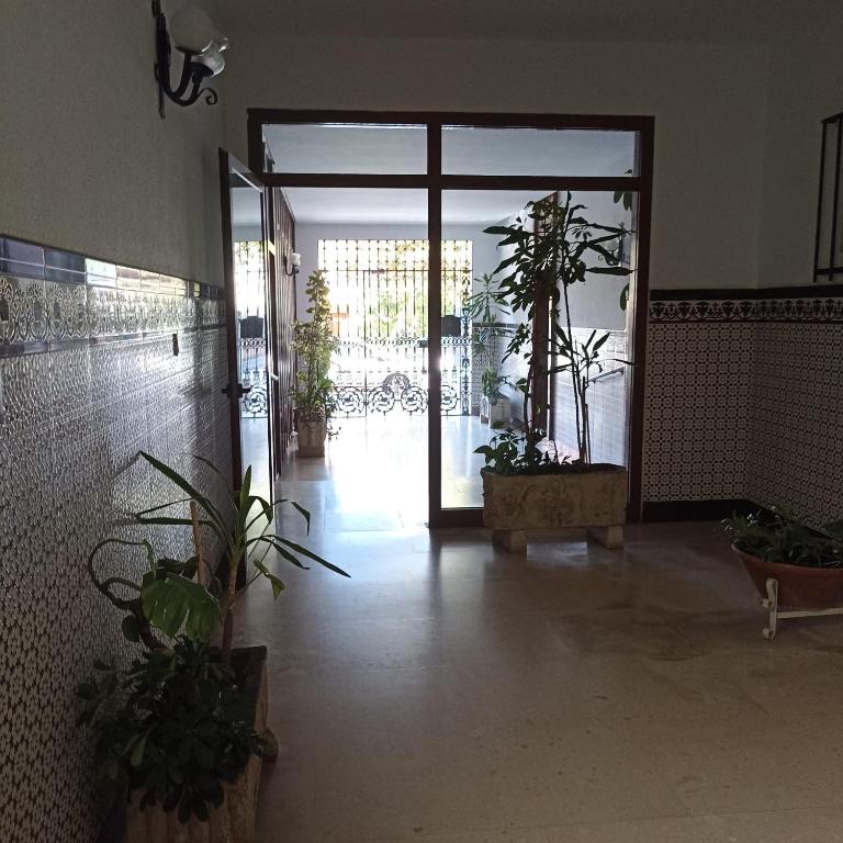 Piso vacacional en Sanlúcar - Apartamento de 3 dormitorios - 40