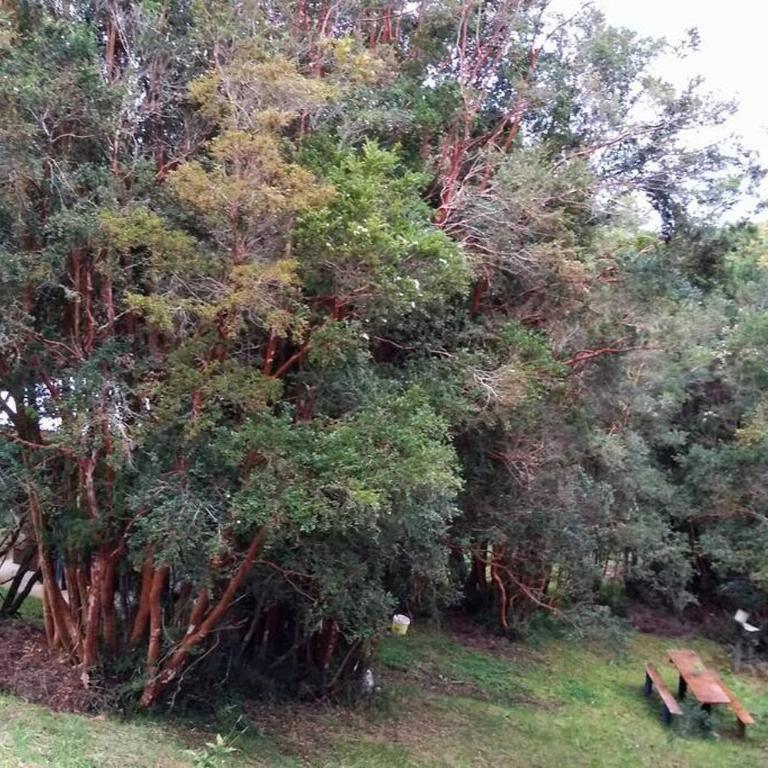 Cabaña Arrayan, Centro Ecovertientes San Carlos - Apartamento de 1 dormitorio - 20