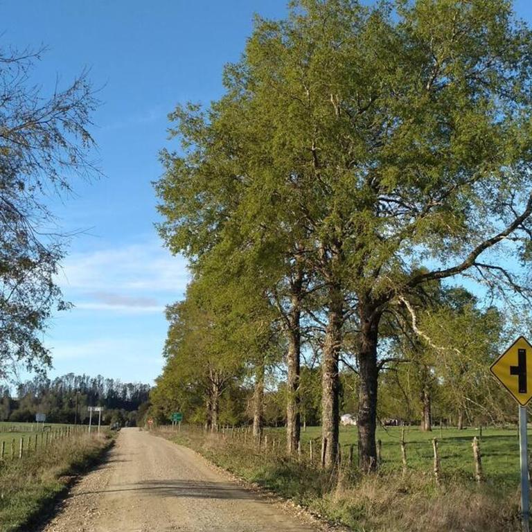 Cabaña Arrayan, Centro Ecovertientes San Carlos - Apartamento de 1 dormitorio - 21