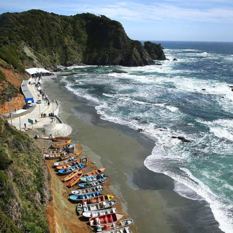 Cabaña Arrayan, Centro Ecovertientes San Carlos - Apartamento de 1 dormitorio - 23