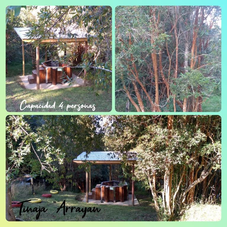 Cabaña Arrayan, Centro Ecovertientes San Carlos - Apartamento de 1 dormitorio - 9