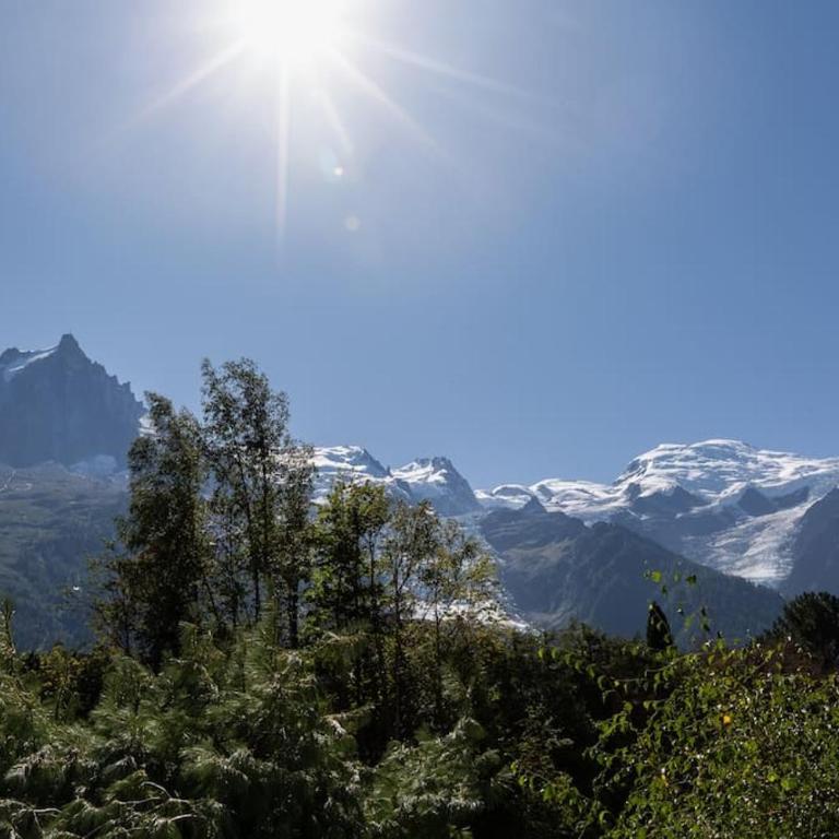Modern apartment with the best Mont Blanc view! - Apartment mit 1 Schlafzimmer - 2