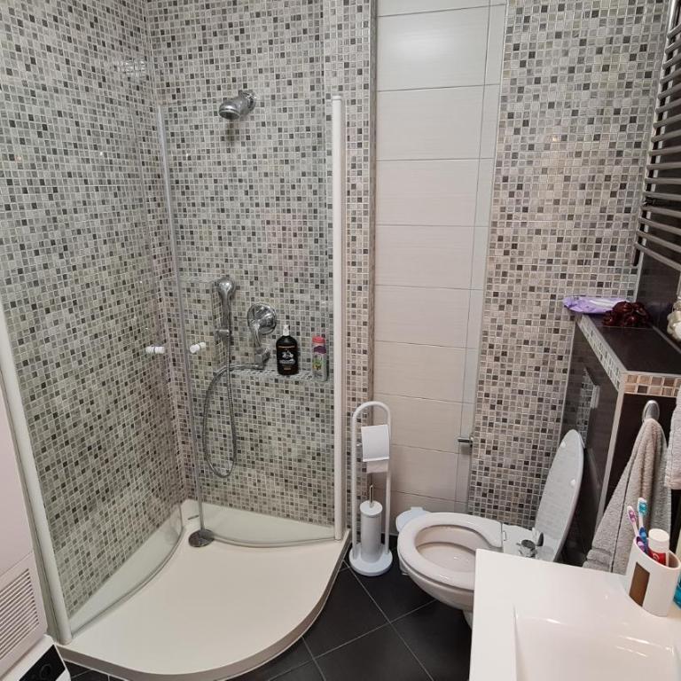 Sarajevo City Deluxe Apartment - Apartman sa 2 Spavaće Sobe - 9