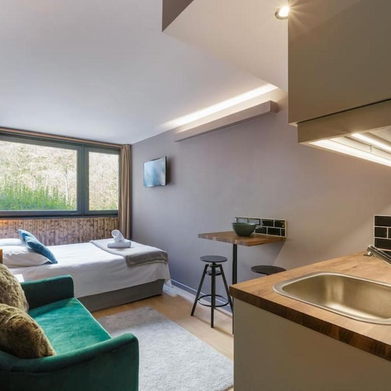 Fantastic studio by the lake with Mountain View - Appartement 1 Chambre - 1