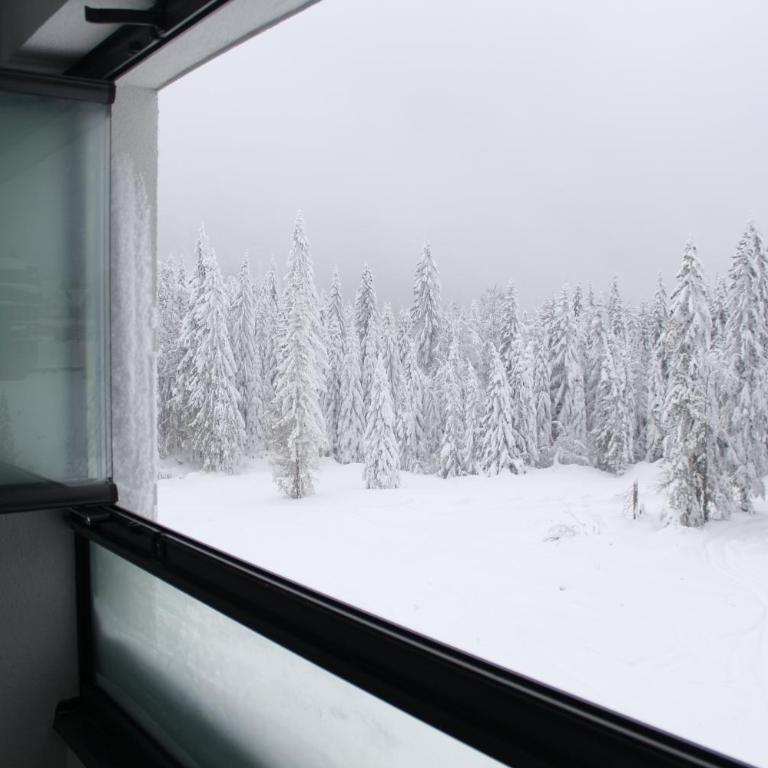 Snjezna Dolina Resort - Jahorina - Apartment with Balcony - 21