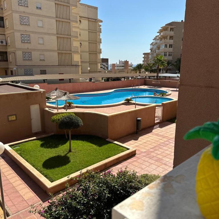 Arenales del Sol Beach Apartment - One-Bedroom Apartment - 26