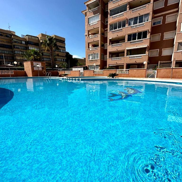 Arenales del Sol Beach Apartment - One-Bedroom Apartment - 29