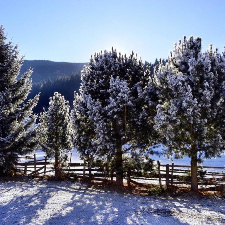 quiet and central Luxury Villa "Juwel " with Sauna in a beautiful valley - Villa - 24