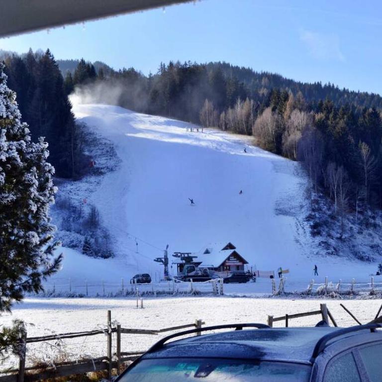 quiet and central Luxury Villa "Juwel " with Sauna in a beautiful valley - Villa - 29