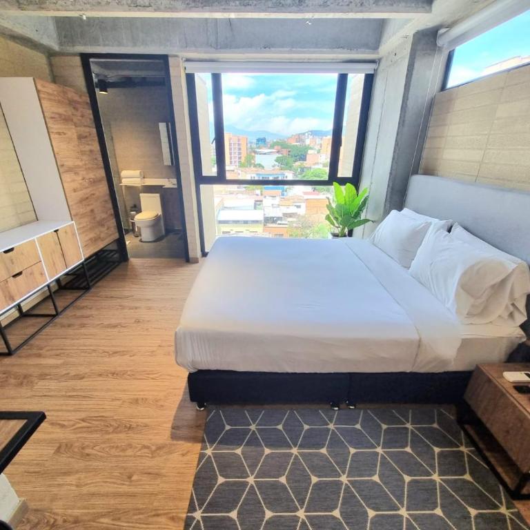 Loft 43 - Estudio con 1 cama grande - 3