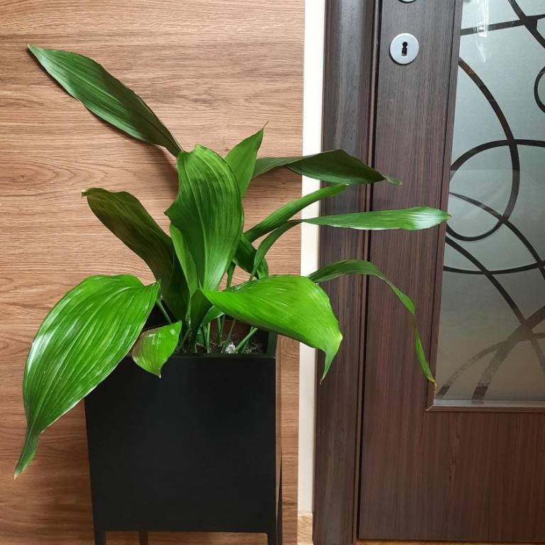 Stan na Dan Apartman D Lux Jacuzzi - One-Bedroom Apartment - 23