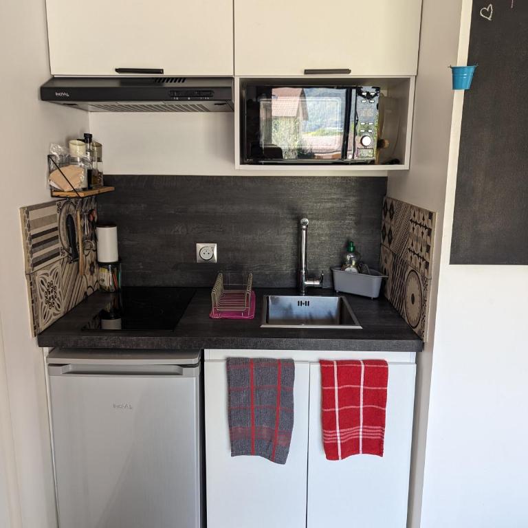 Studio à la campagne au bout du lac d'Annecy - Appartement 1 Chambre - 26