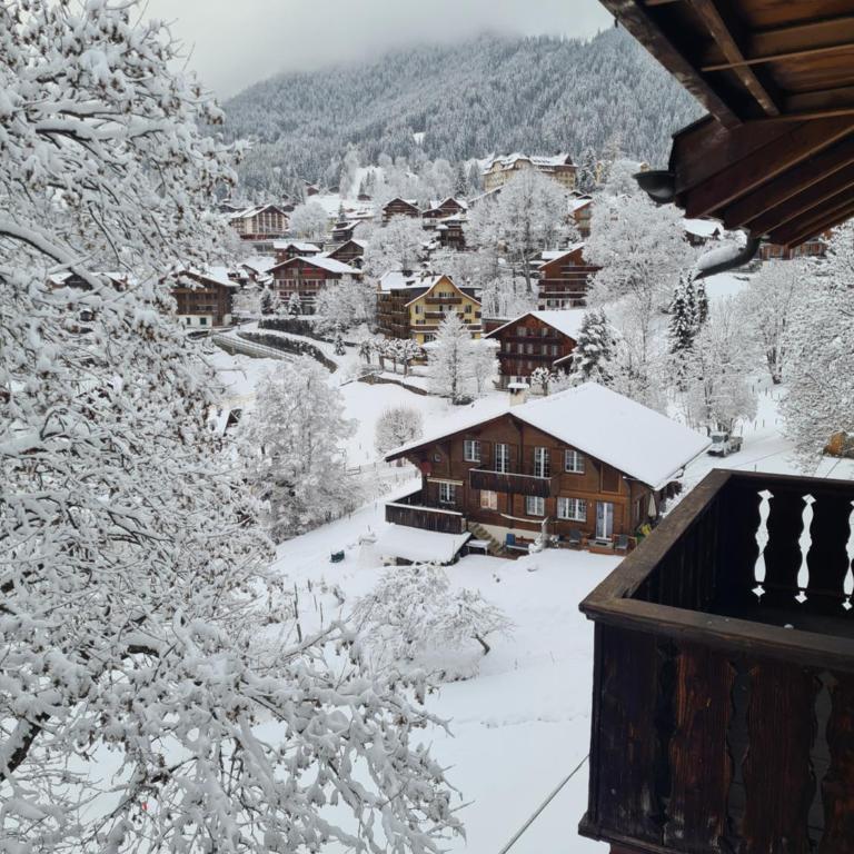 Traditional Ski Chalet in Wengen - Top Floor - Apartment mit 1 Schlafzimmer - 3
