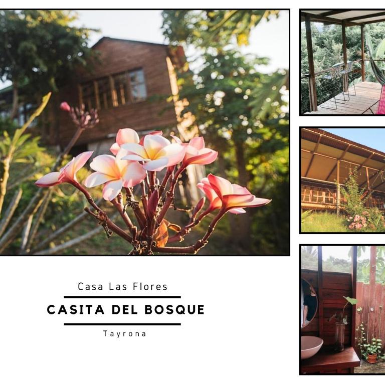 La Casita del Bosque - Habitación con cama grande - 3