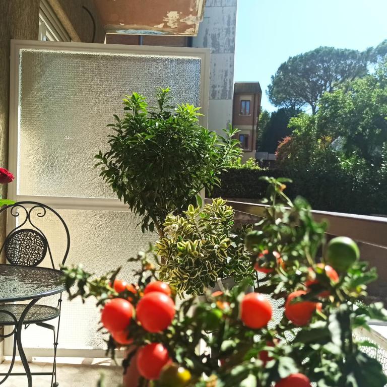 Have a nice stay in Rome - Appartamento con 1 Camera da Letto - 2