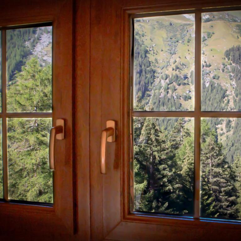 Chalet Edelweiss - Chalet - 51