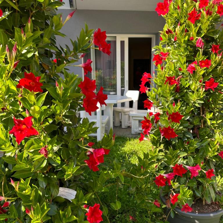 ROSENSUITE La Residenza del rosengarten - Apartamento - Planta baja - 5