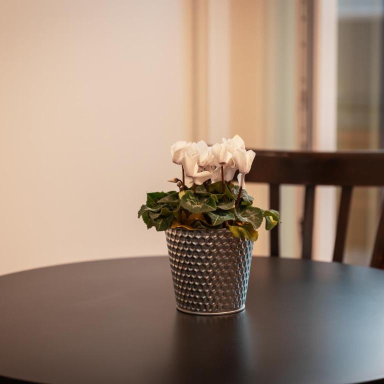 Versi Lilibetani - Two-Bedroom Apartment - 16
