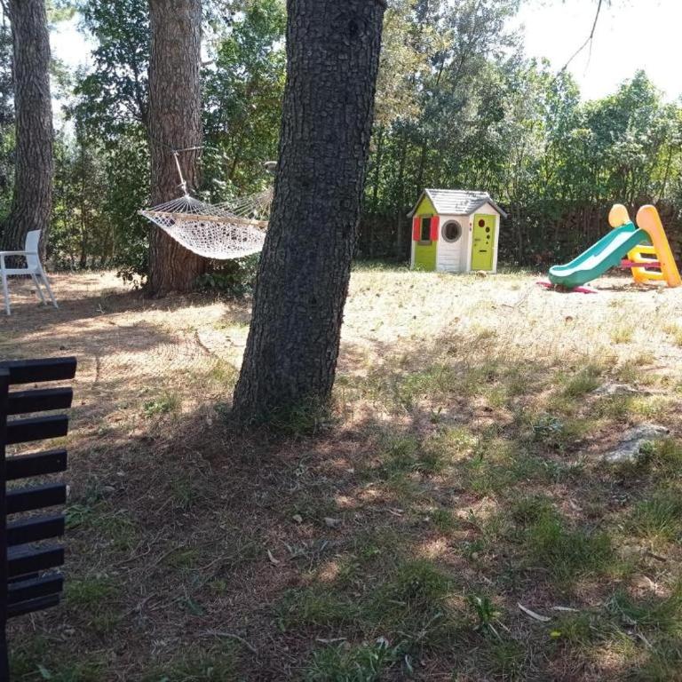 Casa Vacanze Villa Greca - Appartamento Standard - 53