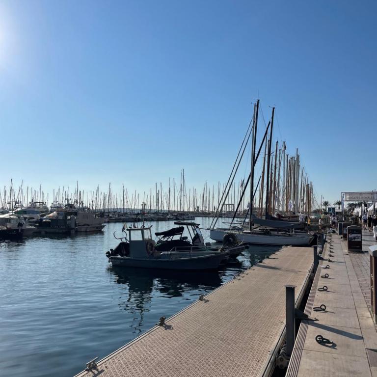 Cannes Old Port, SEAFRONT & SEAVIEWS - Appartement - Vue sur Mer - 19