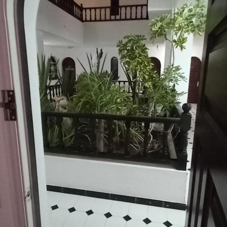 MAREZIA - One-Bedroom Apartment - 8