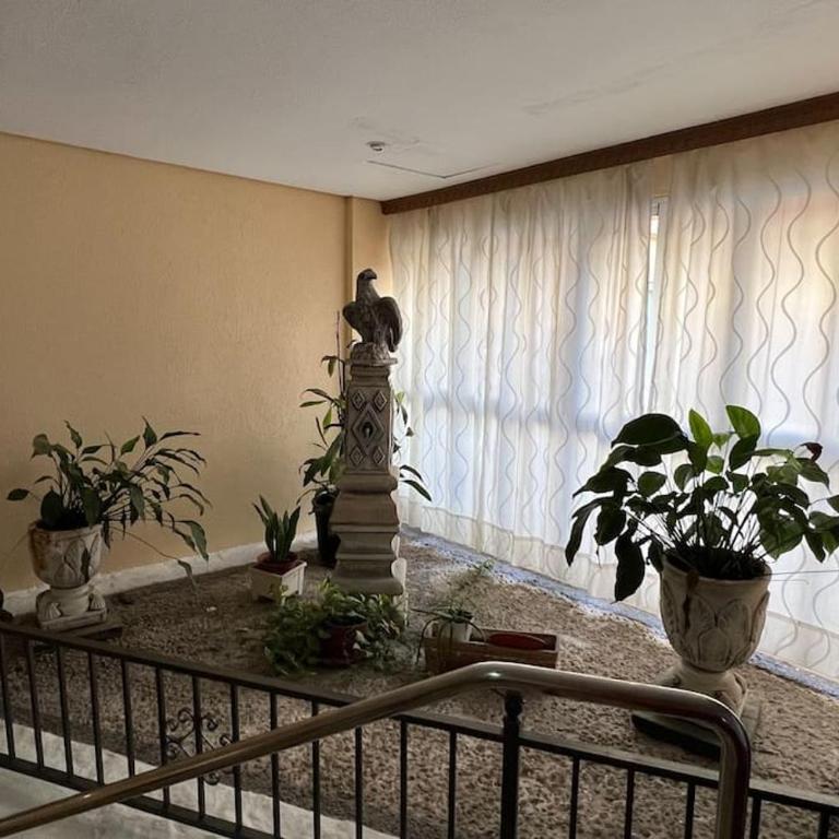 Estudio Aguila con Vistas al Mar - Studio with Sea View - 29