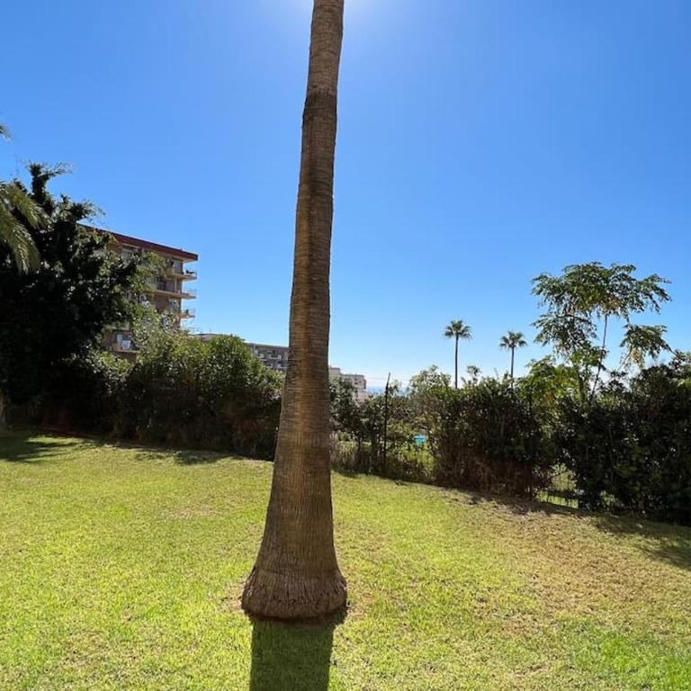 Estudio Aguila con Vistas al Mar - Studio with Sea View - 38