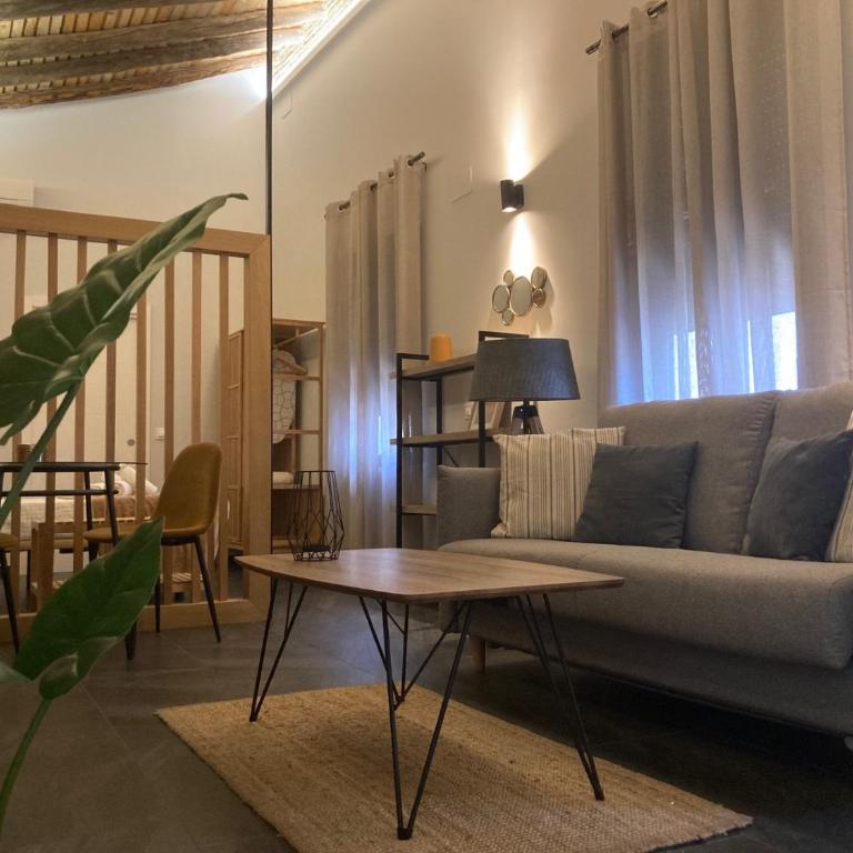 Apartamentos Cáceres Central Suites - Estudio Deluxe - 7
