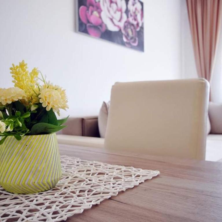 Apartman Filipović Vrnjačka Banja - One-Bedroom Apartment - 2