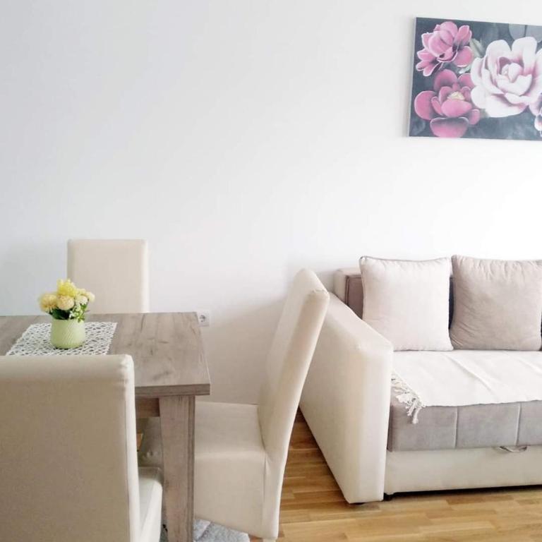 Apartman Filipović Vrnjačka Banja - One-Bedroom Apartment - 4