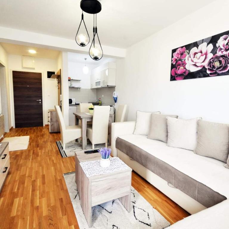 Apartman Filipović Vrnjačka Banja - One-Bedroom Apartment - 5