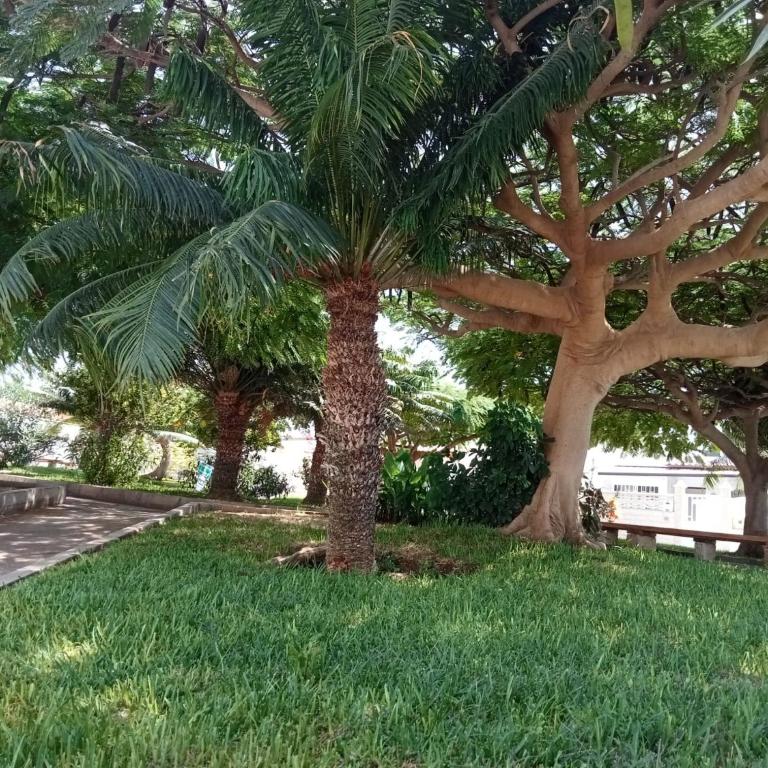 Cozy Bungalow - Apartamento de 1 dormitorio - 21