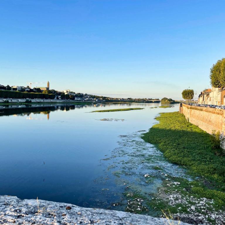 Appartement duplex rénové vue sur la Loire - Appartamento con 1 Camera da Letto - 23