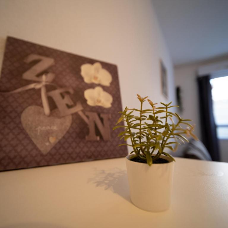 Appartement tout équipe wifi à 6 min St Charles - Studio - 10