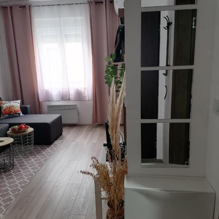 apartman TARA aqua park - Apartman sa 1 Spavaćom Sobom - 7