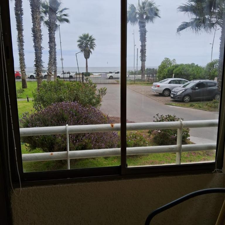 Palmar vista al mar - One-Bedroom Apartment - 8