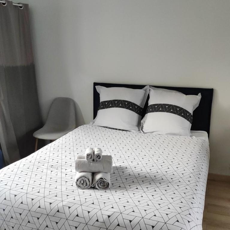 La Douce Angevine - Appartement - 69