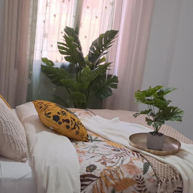 Apartamentos Jara Málaga Centro - Bajo C - Apartamento de 2 dormitorios - 7